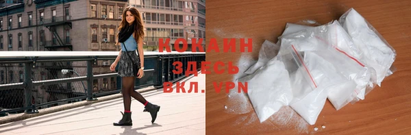 дживик Арсеньев