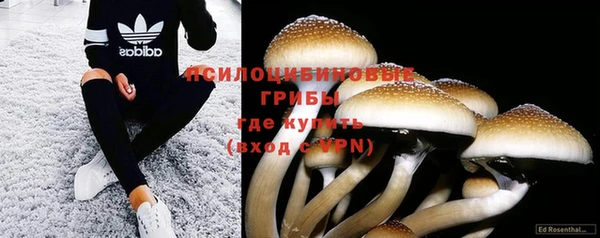 дживик Арсеньев